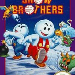 snow brothers video game